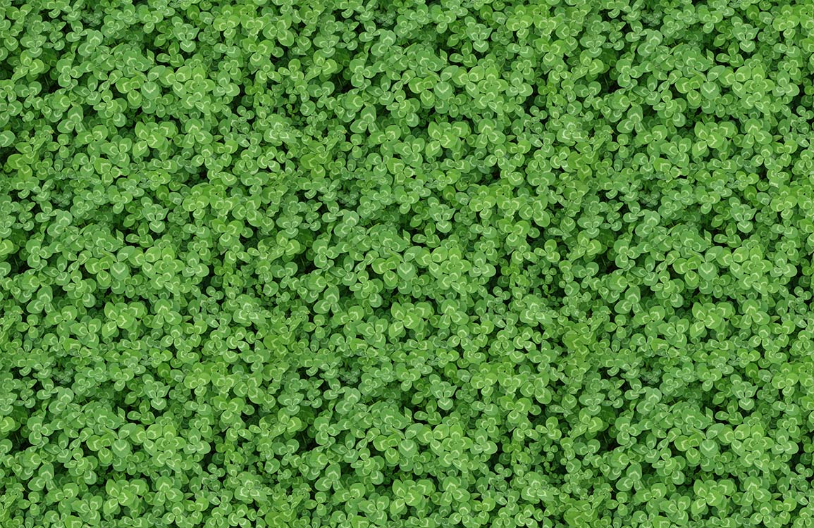 Living Room Wallpaper Mural Featuring Clover Plants