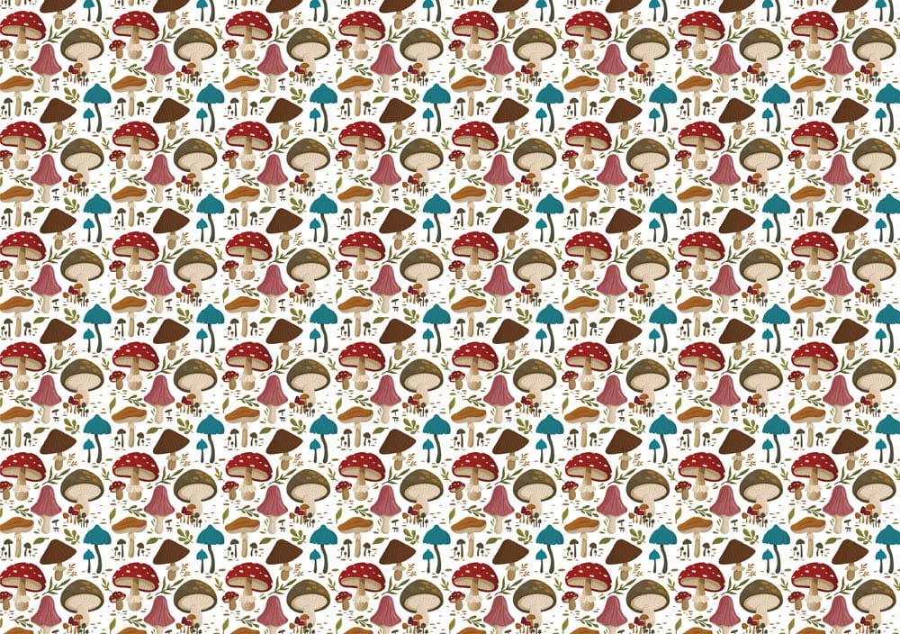 custom colorful mushrooms wallpaper mural plain