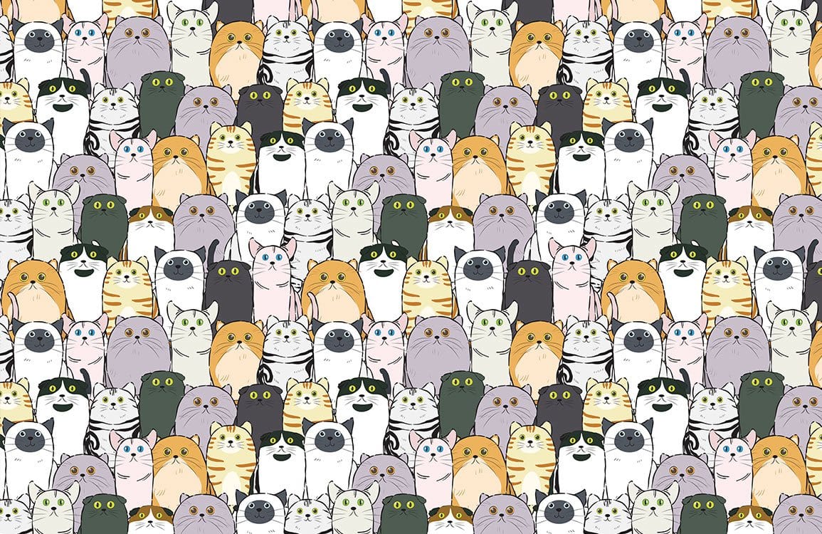 Colorful Whimsical Cat Mural Wallpaper