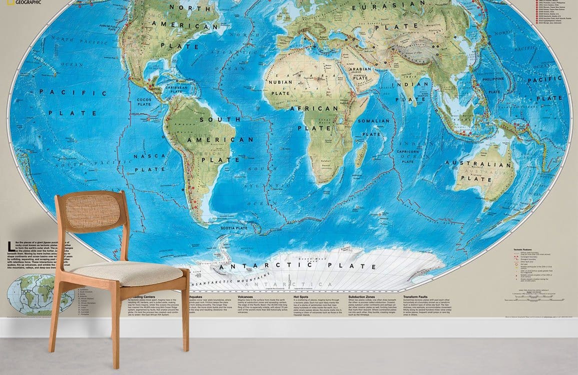 Educational Dynamic World Map Wall Mural in office
