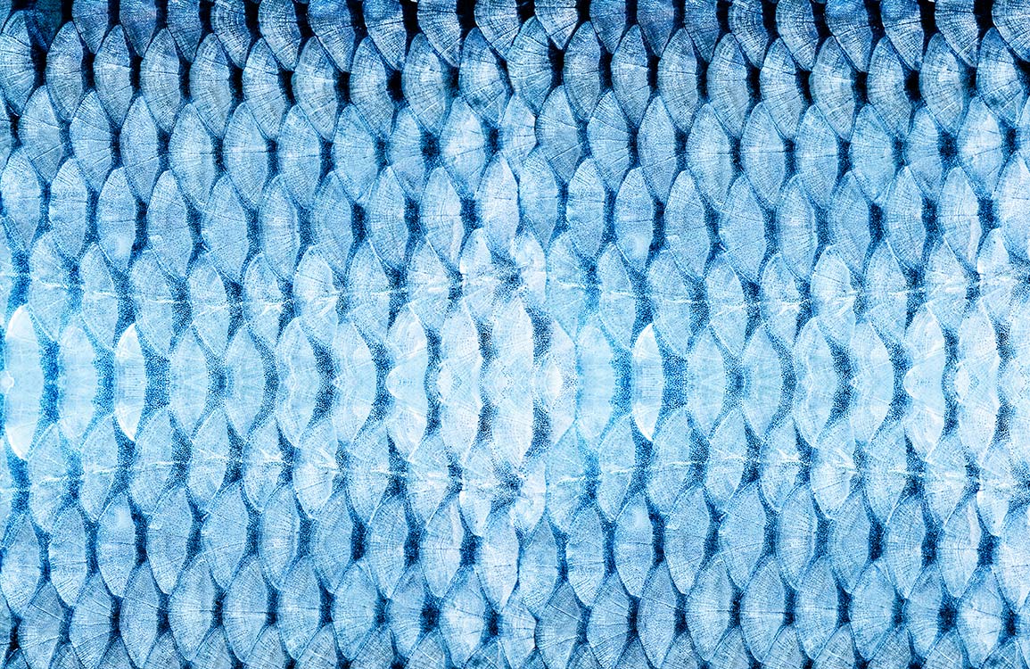 Abstract Blue Geometric Wallpaper Mural