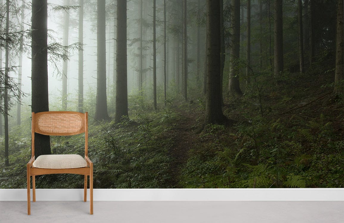 forest trees with fog wallpaper for room