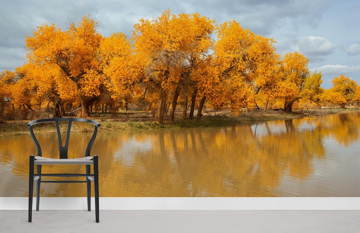 Autumnal Golden Forest River Mural Wallpaper | Ever Wallpaper ...