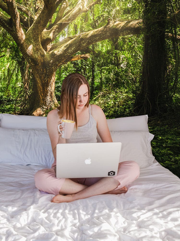 Wallpaper mural featuring an ancient tree bathed in sunlight for use in decorating a bedroom
