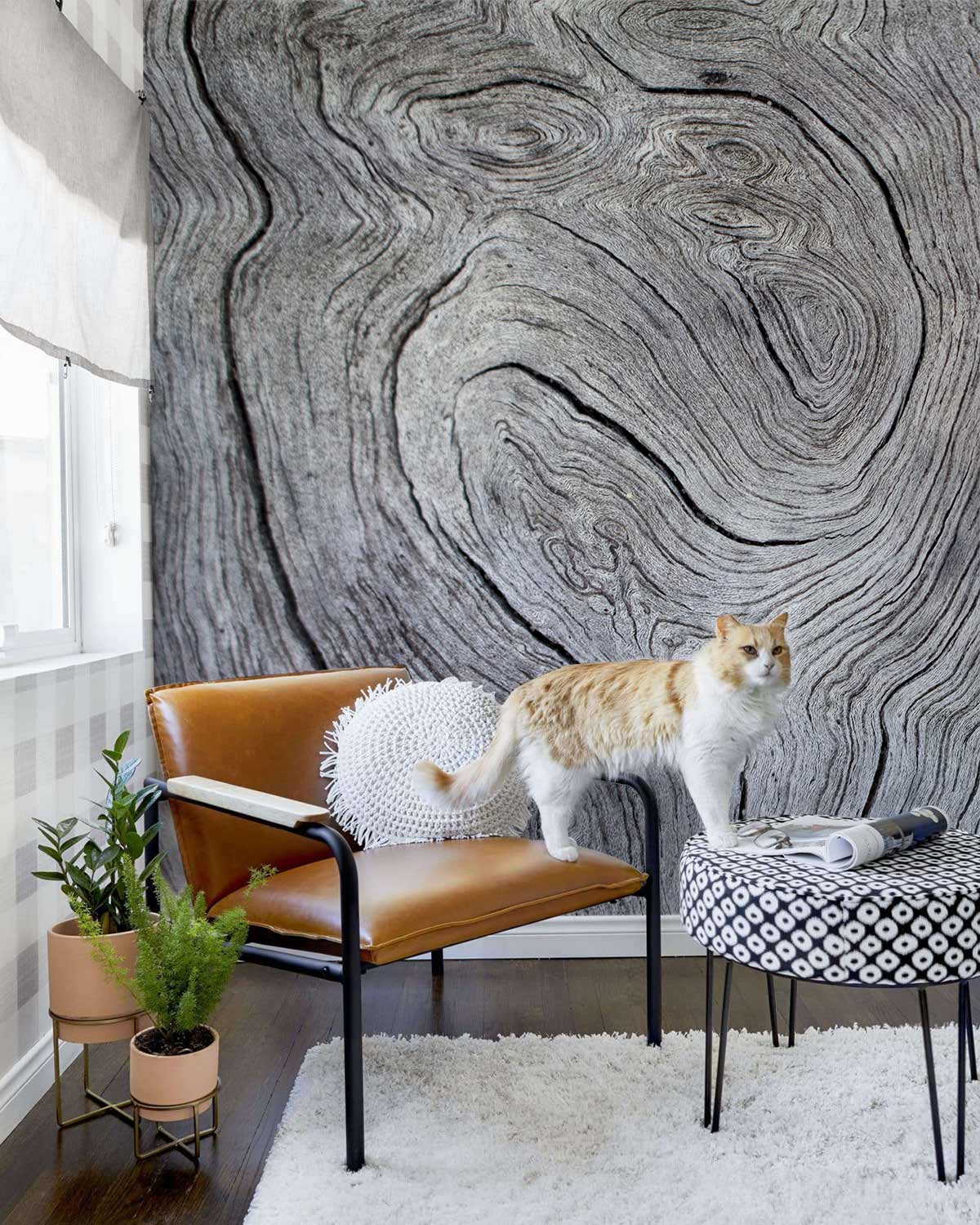 Gray Wood Grain Mural Wallpaper Art Decor