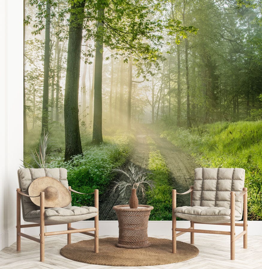 Forest sunshine mural wallpaper in the living room