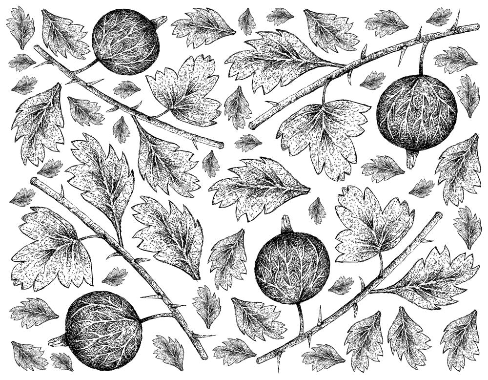 Hand-painted wallpaper with a leaf and fruit design.