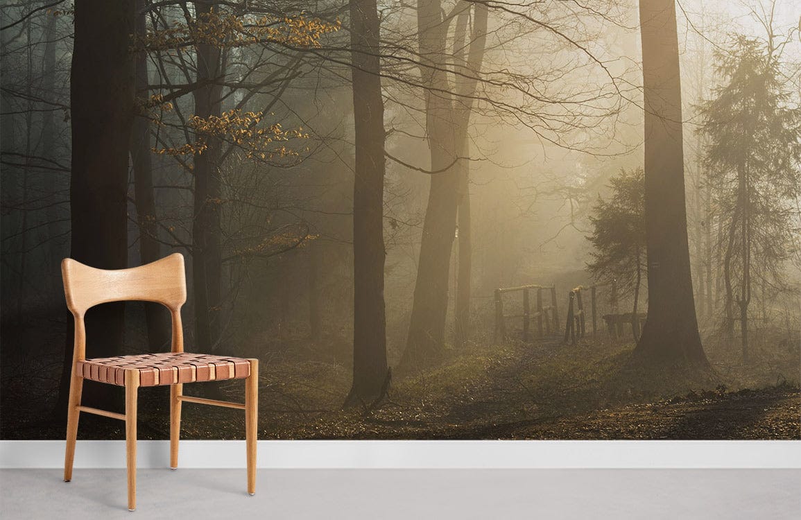 sunrise through forest wallpaper for room