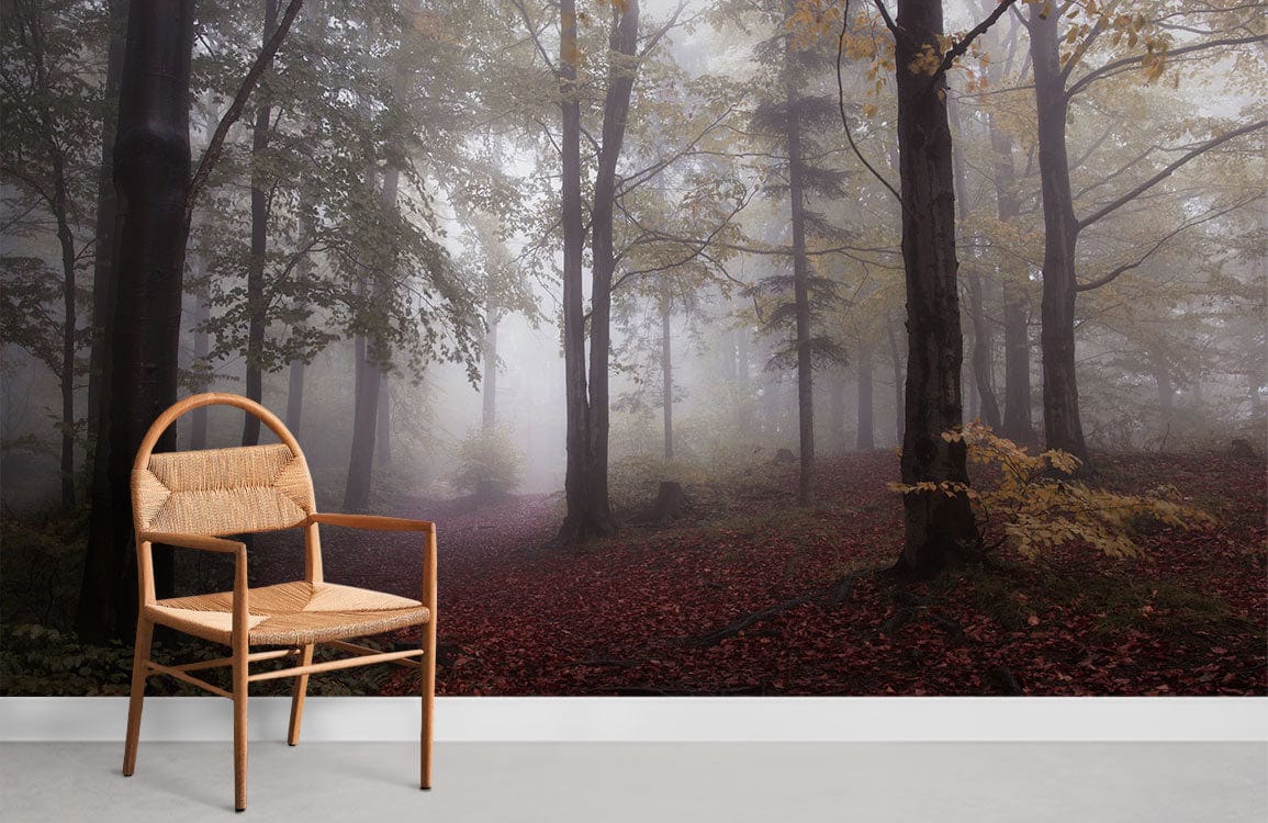 wallpaper design with a hazy woodland in the fog