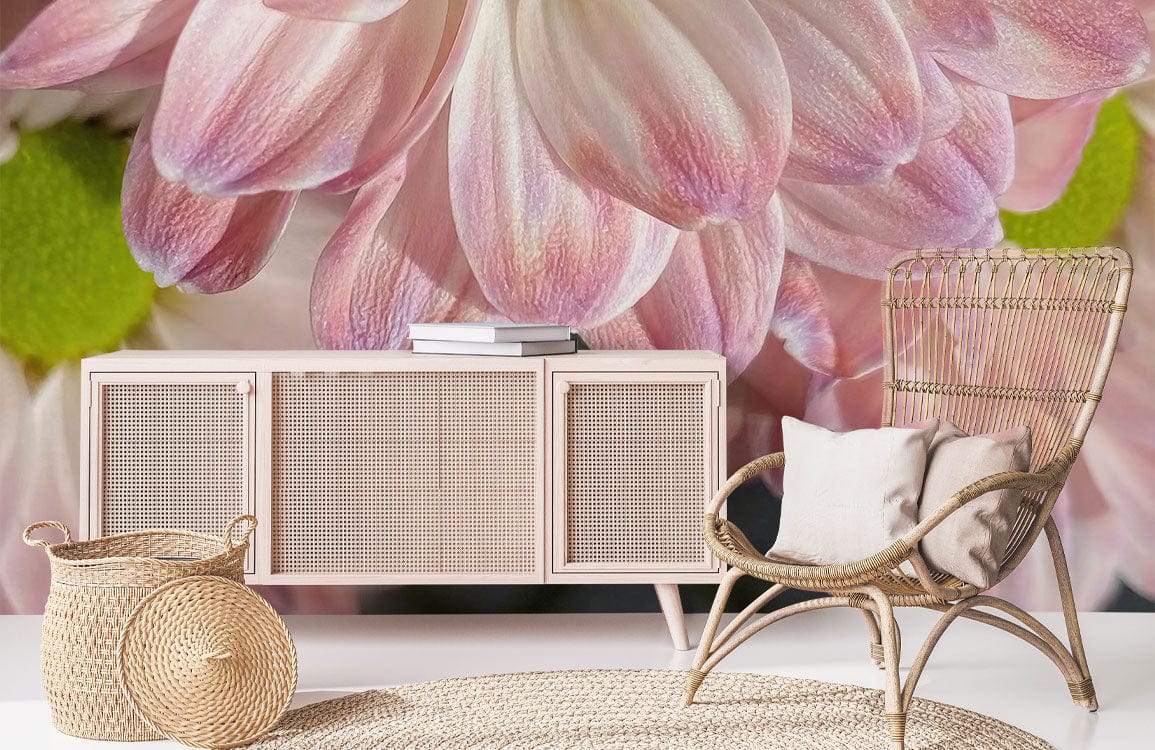 pink chrysanthemum flower blossom wallpaper mural