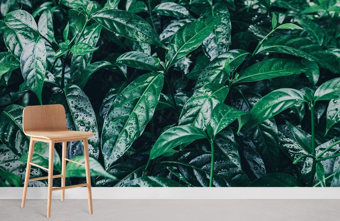 Raindrops On Leaves Wallpaper Room