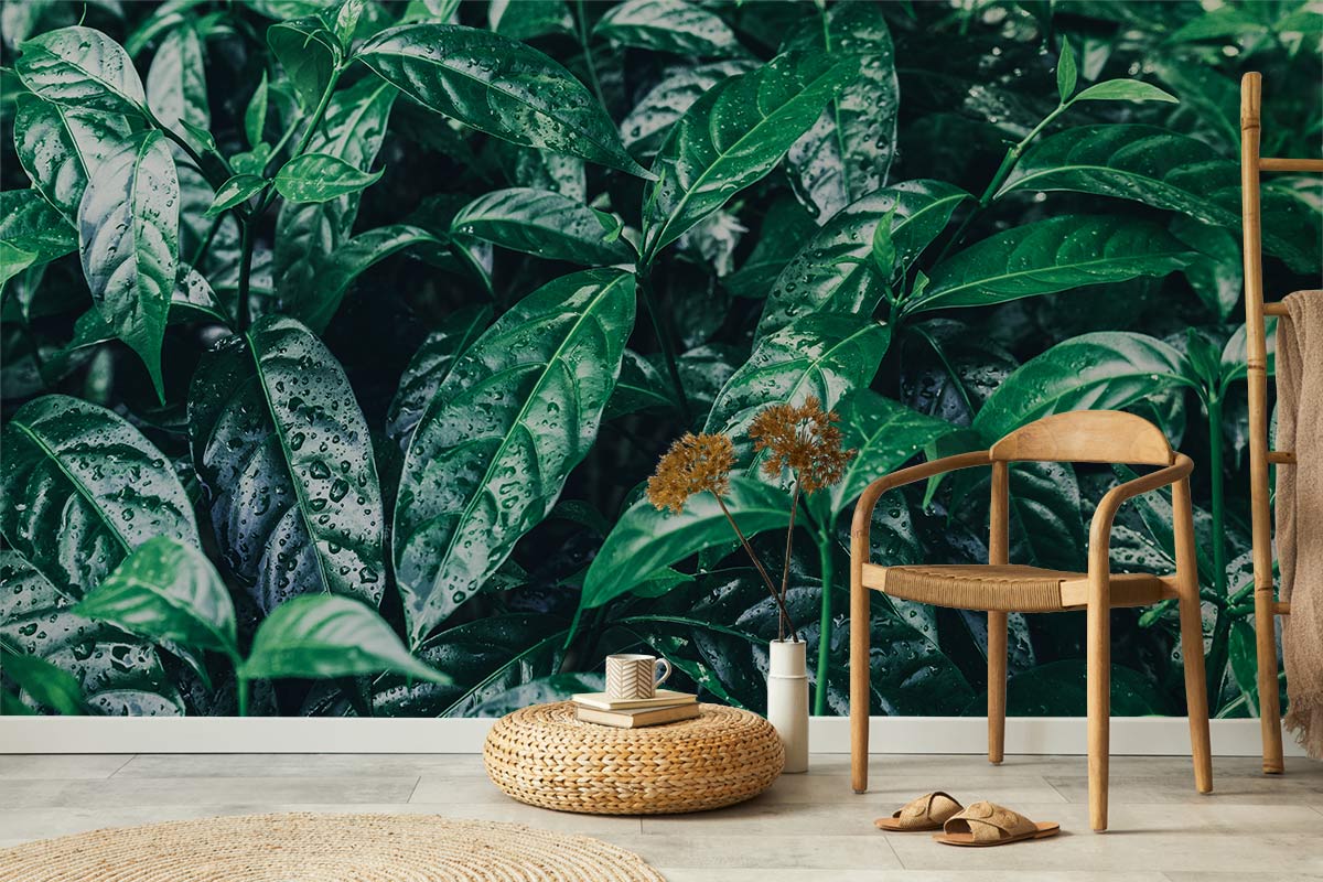 Raindrops On Leaves Wall Mural Art