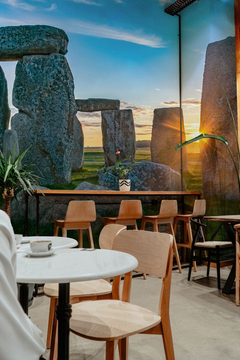 rock on grassland wallpaper mural restaurant  art design