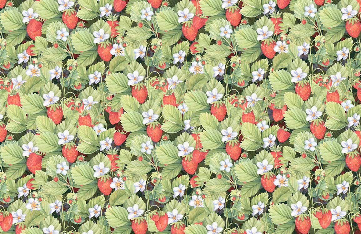 Botanical Strawberry Field Mural Wallpaper