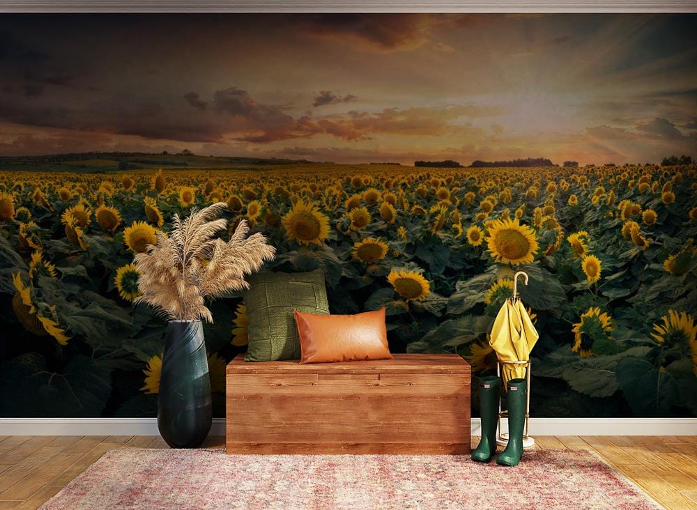 Sunset Sunflower Field Nature Mural Wallpaper in entryway