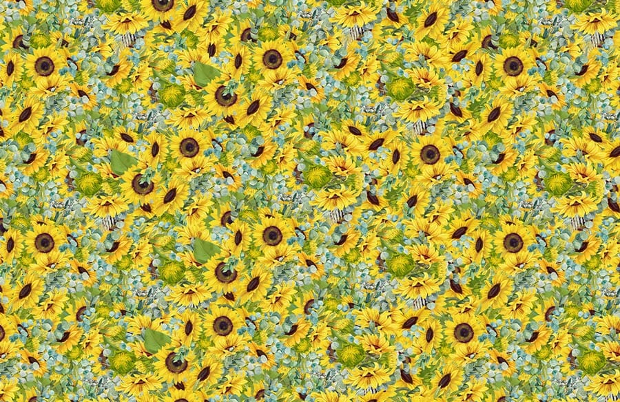 unique sunflower filed wallpaper mural design