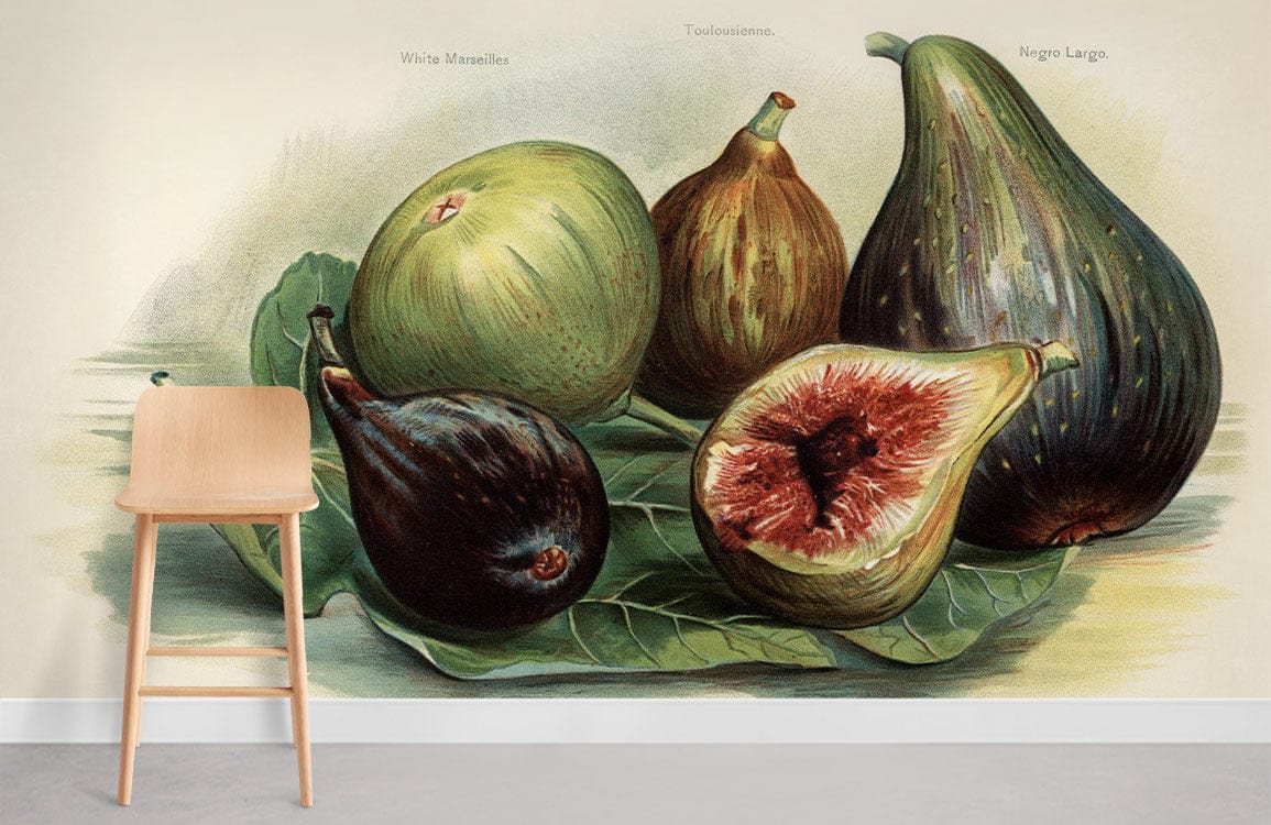 Vintage Fig Fruit Mural Wallpaper Room