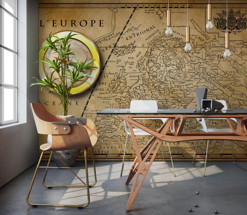 Vintage European Map Mural Wallpaper in office