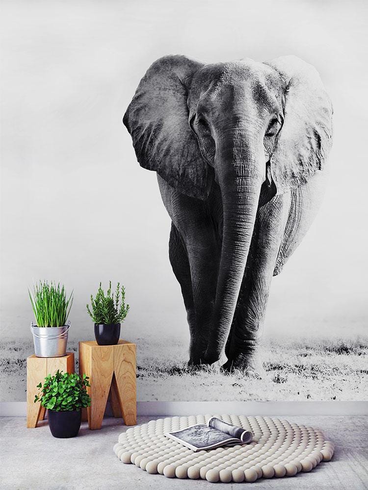 Wild Elephant animal wall mural custom deisgn