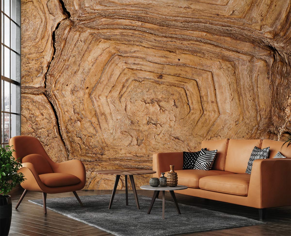 Natural Brown Wood Grain Mural Wallpaper