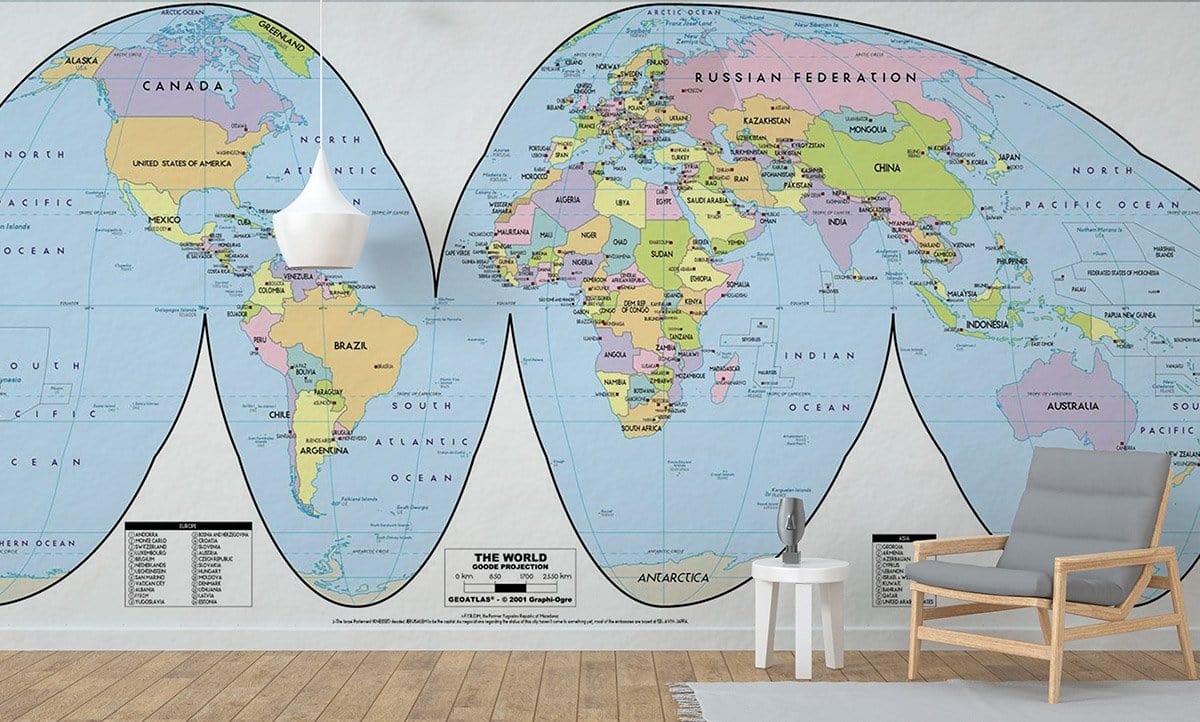 Modern World Map Wall Mural in office
