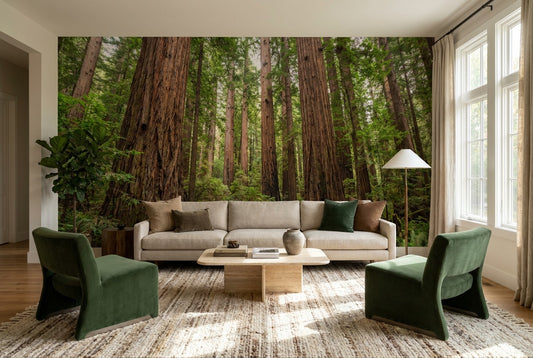 Rich Green Redwood Forest Wallpaper Mural room scene