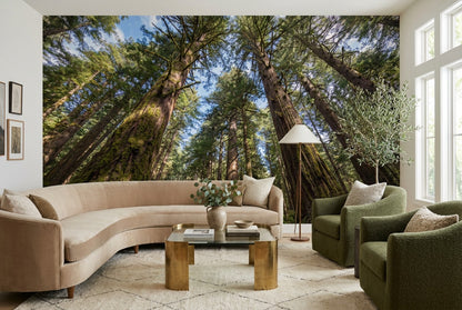 Amber Redwood Woodland Wallpaper Mural room scene