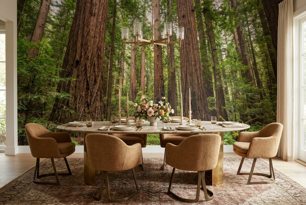 Rich Green Redwood Forest Wallpaper Mural interior scene
