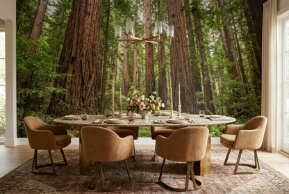 Rich Green Redwood Forest Wallpaper Mural interior scene