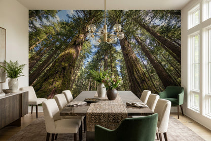 Amber Redwood Woodland Wallpaper Mural interior scene