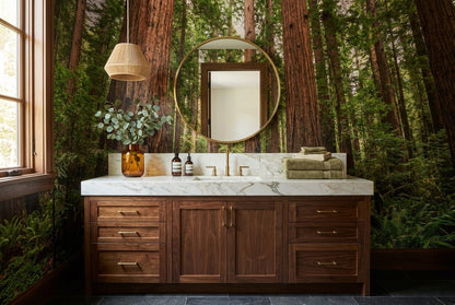 Rich Green Redwood Forest Wallpaper Mural interior scene