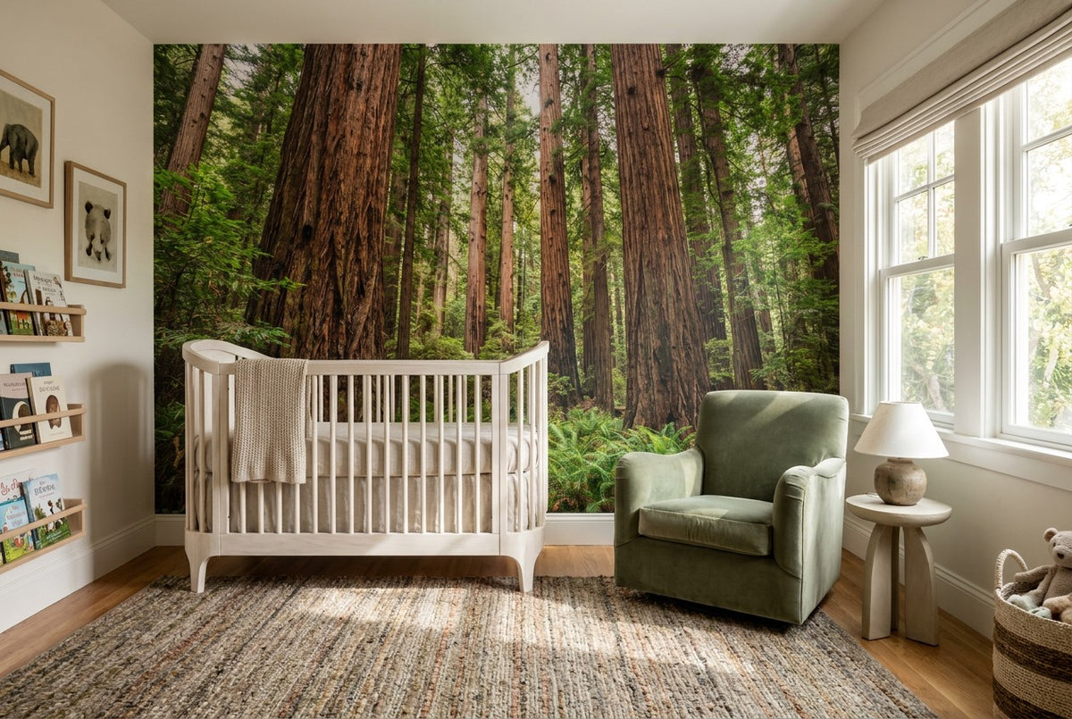Rich Green Redwood Forest Wallpaper Mural interior scene