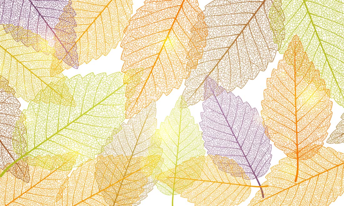 Autumn Leaf Vein Pattern Mural Wallpaper