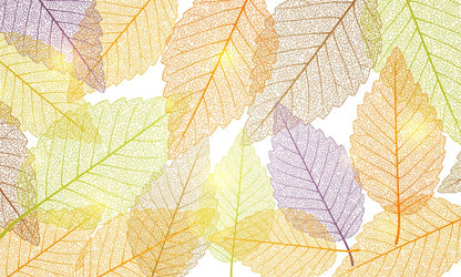 Mural wallpaper in the room including colourful and see-through leaves