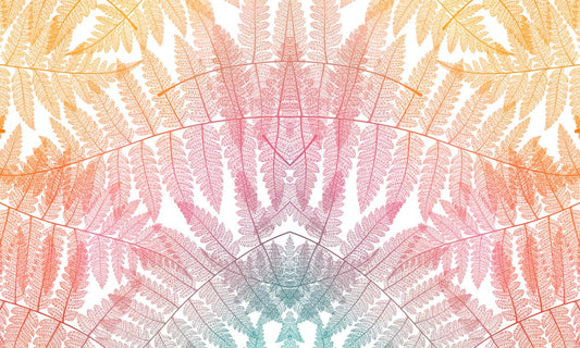 Rainbow Fern Leaf Symmetry Mural Wallpaper