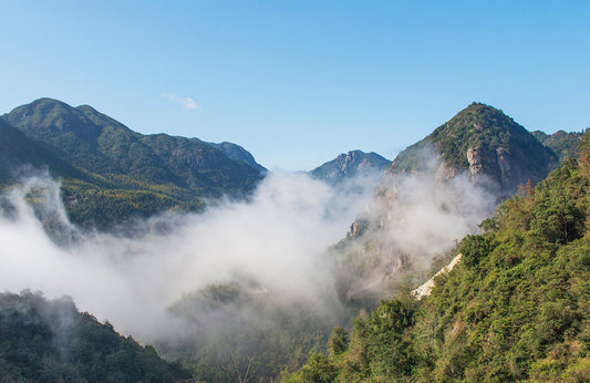 Papier Peint Panoramique Brouillard sur Montagne