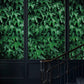 Lush Green Leafy Botanical Mural Wallpaper