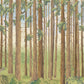 Vintage Forest Landscape Mural Wallpaper