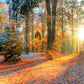 Autumn Forest Sunshine Landscape Mural Wallpaper