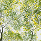 Forest Canopy Watercolor Mural Wallpaper