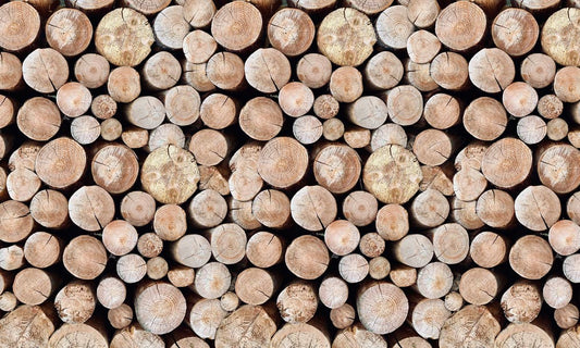 Wallpaper mural with wooden stakes for use in interior design of homes.