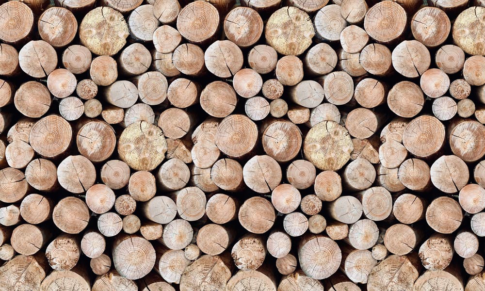 Papier Peint Panoramique avec Piquets en Bois