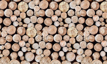 Wallpaper mural with wooden stakes for use in interior design of homes.