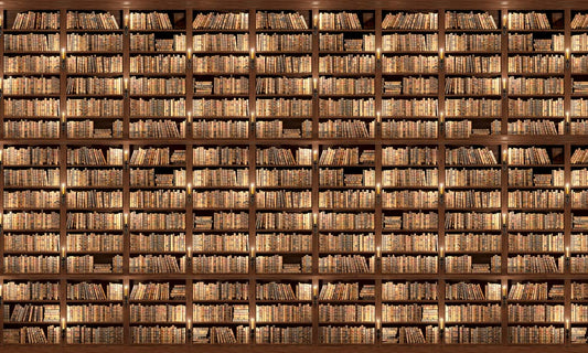 Vintage Library Bookshelf Mural Wallpaper