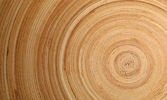 Natural Wood Spiral Grain Mural Wallpaper