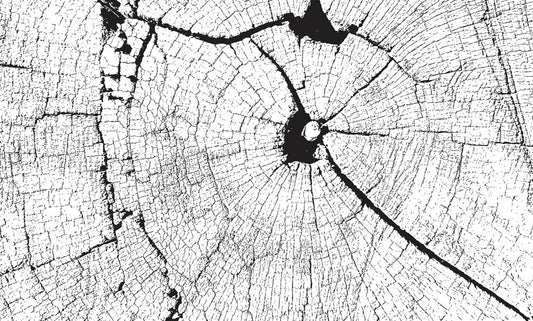 Wall Mural with Cracked Wood Effect that Looks Old