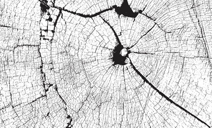 Wall Mural with Cracked Wood Effect that Looks Old