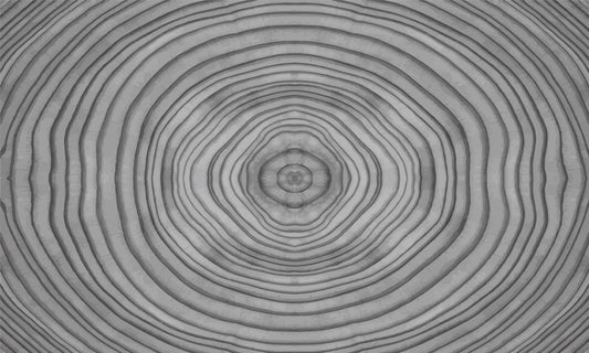Decorate Your Home with a Wood Grain Wallpaper Mural
