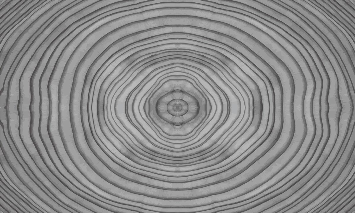 Modern Circular Grey Geometric Mural Wallpaper