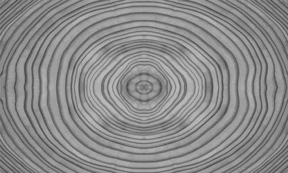 Decorate Your Home with a Wood Grain Wallpaper Mural